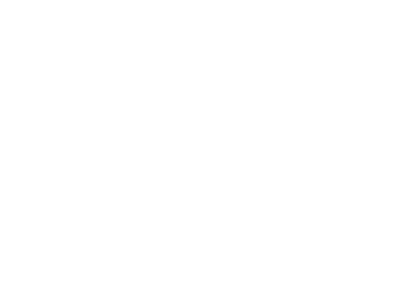 Dezion Projects logo